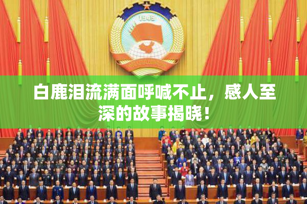 白鹿泪流满面呼喊不止，感人至深的故事揭晓！