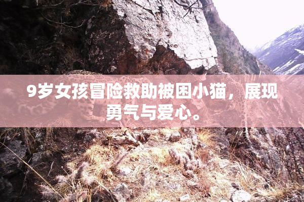 9岁女孩冒险救助被困小猫，展现勇气与爱心。