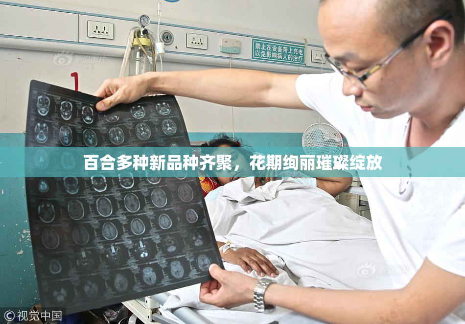 百合多种新品种齐聚，花期绚丽璀璨绽放