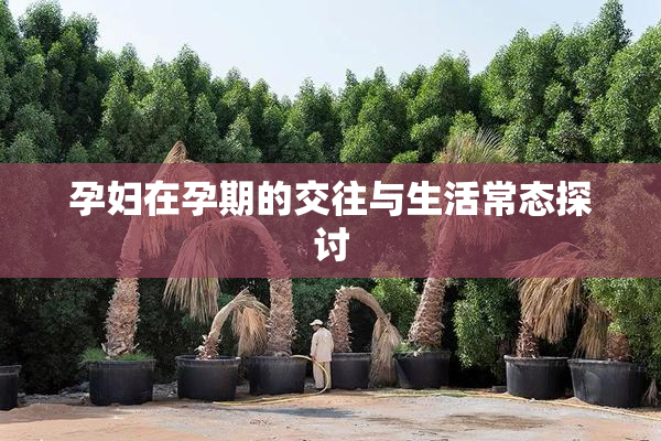 孕妇在孕期的交往与生活常态探讨