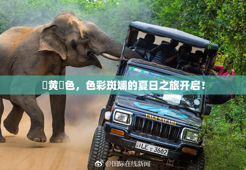 ✿黄✿色，色彩斑斓的夏日之旅开启！