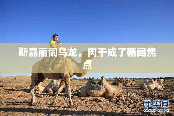 斯嘉丽闹乌龙，肉干成了新闻焦点