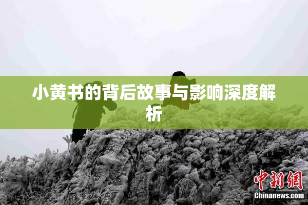 小黄书的背后故事与影响深度解析