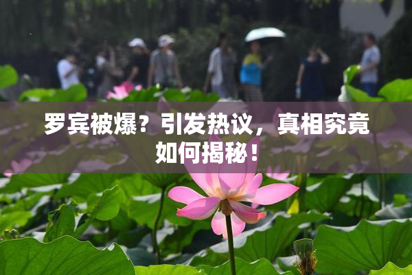 罗宾被爆？引发热议，真相究竟如何揭秘！