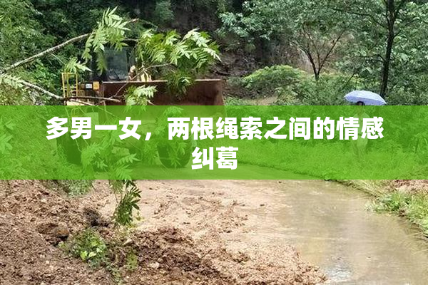 多男一女，两根绳索之间的情感纠葛