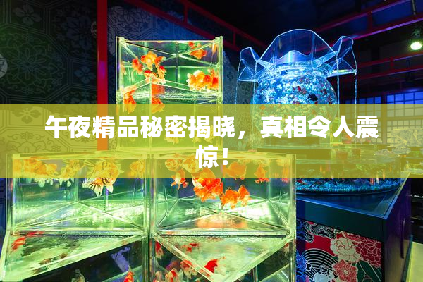 午夜精品秘密揭晓，真相令人震惊！