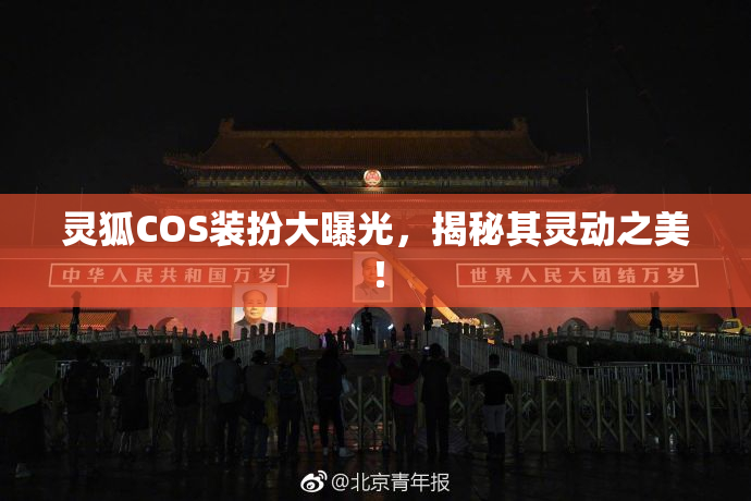 灵狐COS装扮大曝光，揭秘其灵动之美！