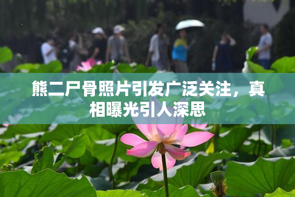 熊二尸骨照片引发广泛关注，真相曝光引人深思