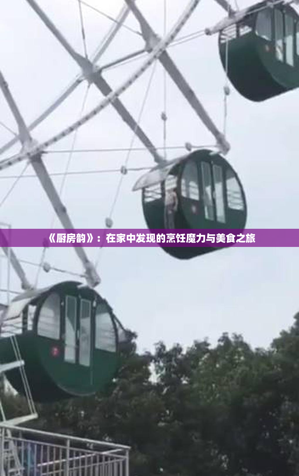 《厨房韵》：在家中发现的烹饪魔力与美食之旅