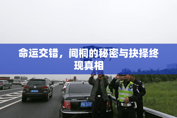 命运交错，间桐的秘密与抉择终现真相