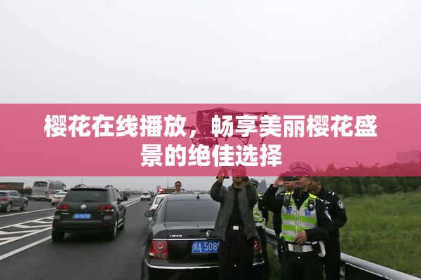 樱花在线播放，畅享美丽樱花盛景的绝佳选择