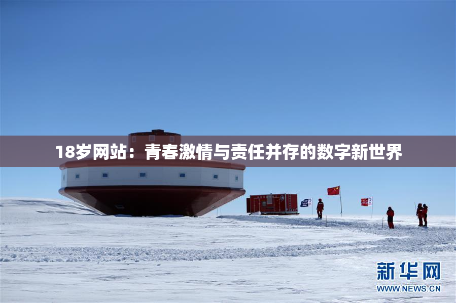 18岁网站：青春激情与责任并存的数字新世界