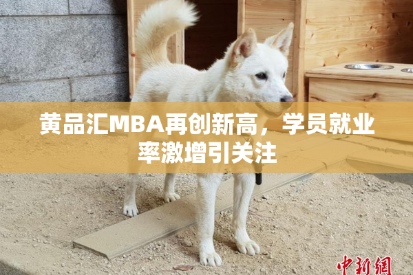 黄品汇MBA再创新高，学员就业率激增引关注