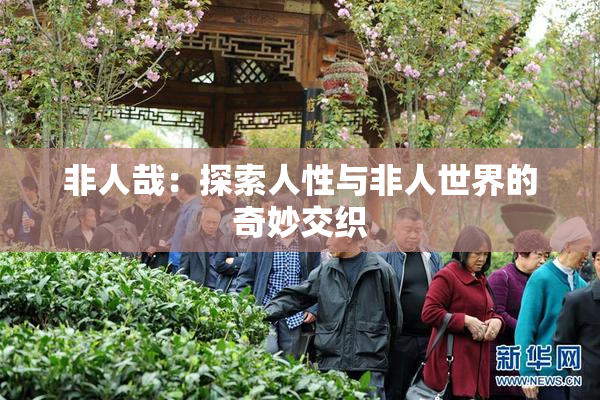 非人哉：探索人性与非人世界的奇妙交织