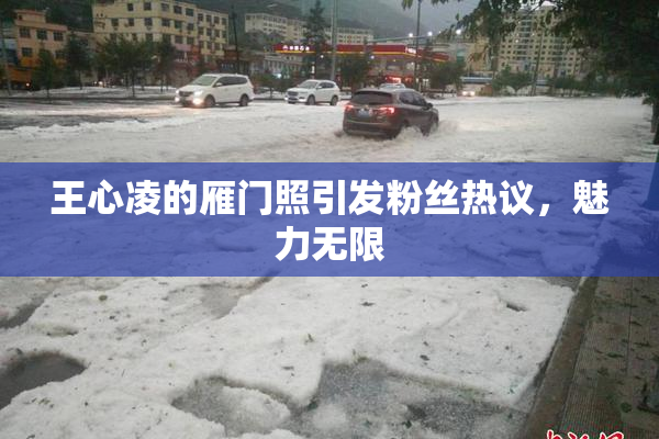 王心凌的雁门照引发粉丝热议，魅力无限
