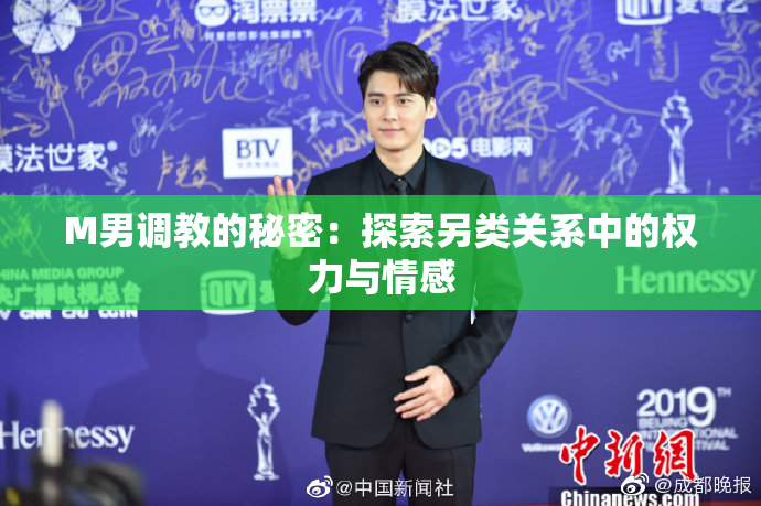 M男调教的秘密：探索另类关系中的权力与情感