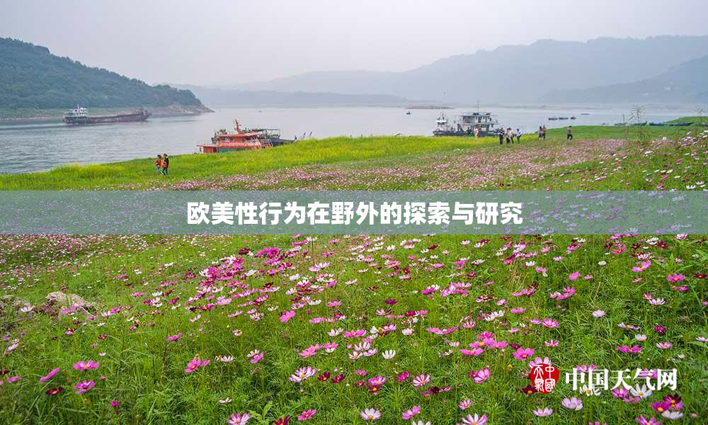 欧美性行为在野外的探索与研究