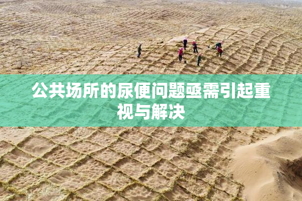 公共场所的尿便问题亟需引起重视与解决