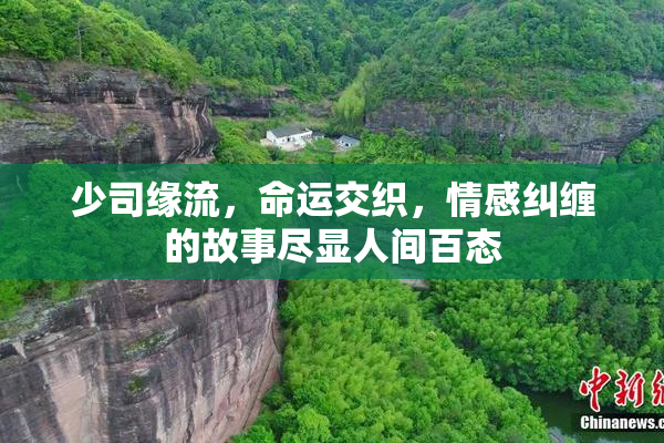 少司缘流，命运交织，情感纠缠的故事尽显人间百态