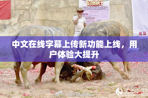中文在线字幕上传新功能上线，用户体验大提升