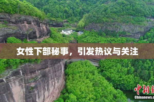 女性下部秘事，引发热议与关注