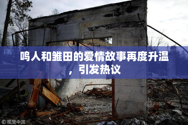 鸣人和雏田的爱情故事再度升温，引发热议