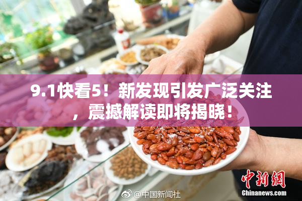 9.1快看5！新发现引发广泛关注，震撼解读即将揭晓！