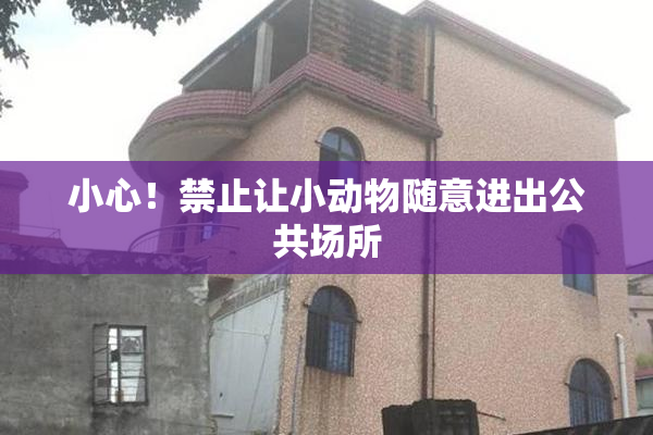 小心！禁止让小动物随意进出公共场所
