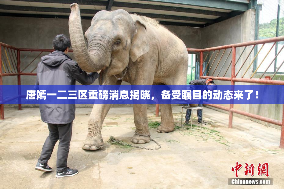 唐嫣一二三区重磅消息揭晓，备受瞩目的动态来了！