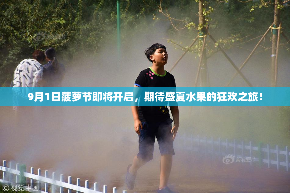 9月1日菠萝节即将开启，期待盛夏水果的狂欢之旅！