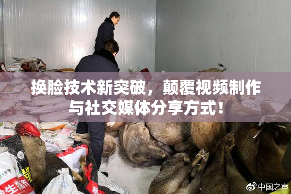换脸技术新突破，颠覆视频制作与社交媒体分享方式！