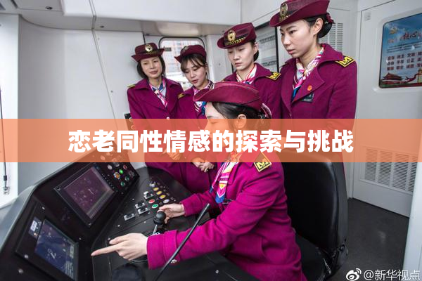 恋老同性情感的探索与挑战