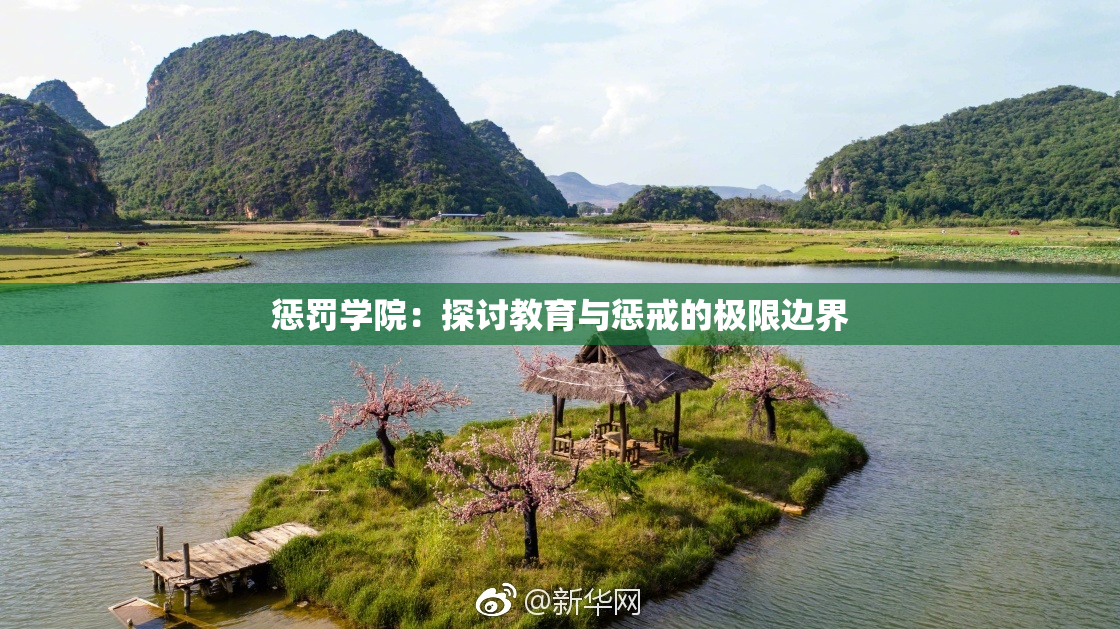 惩罚学院：探讨教育与惩戒的极限边界