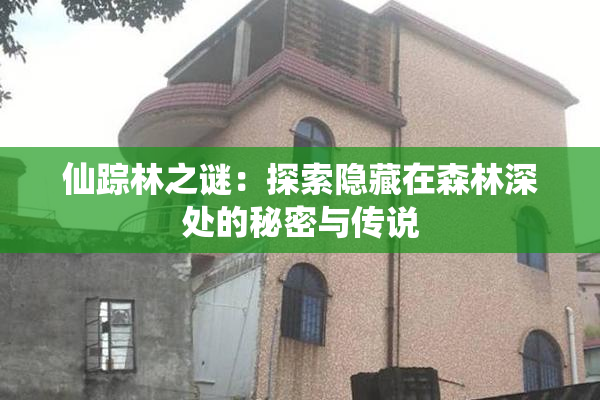 仙踪林之谜：探索隐藏在森林深处的秘密与传说