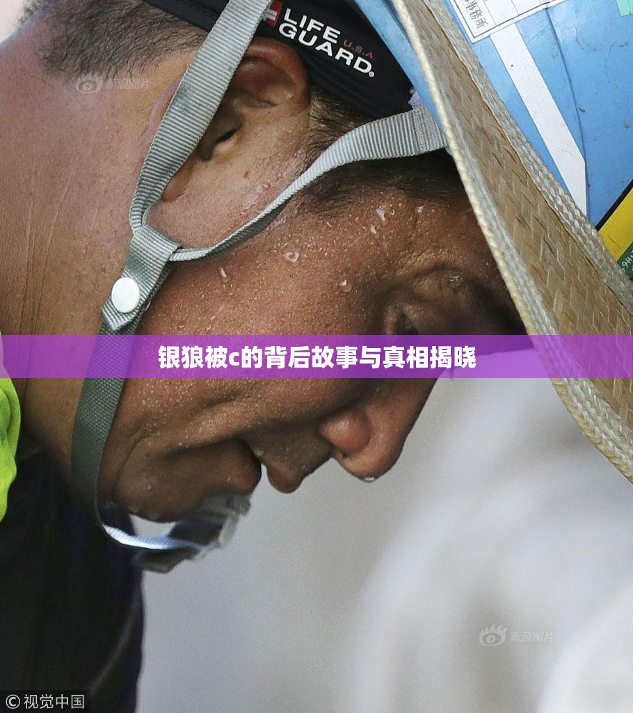 银狼被c的背后故事与真相揭晓