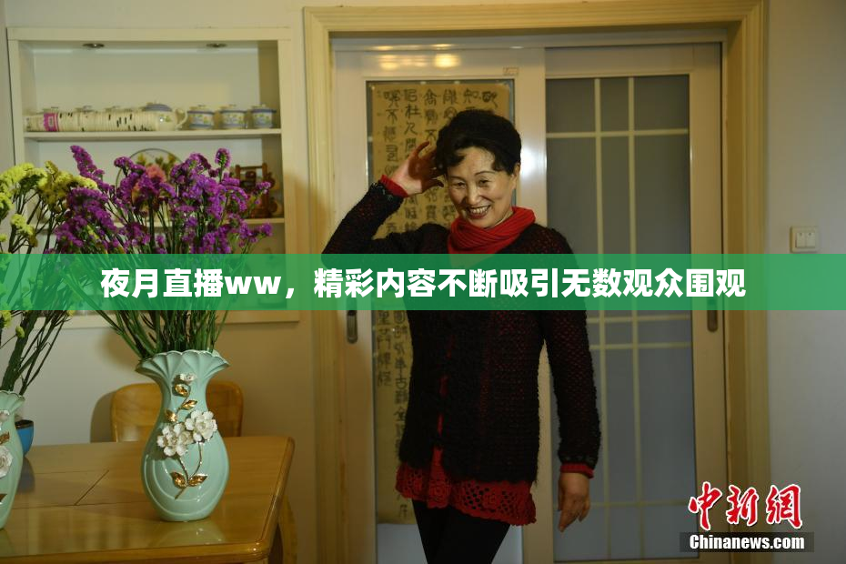 夜月直播ww，精彩内容不断吸引无数观众围观