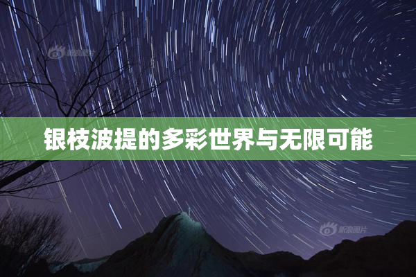 银枝波提的多彩世界与无限可能