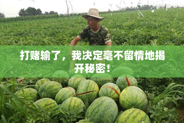 打赌输了，我决定毫不留情地揭开秘密！