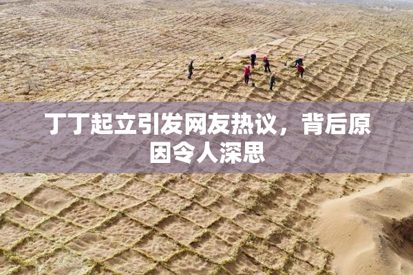 丁丁起立引发网友热议，背后原因令人深思