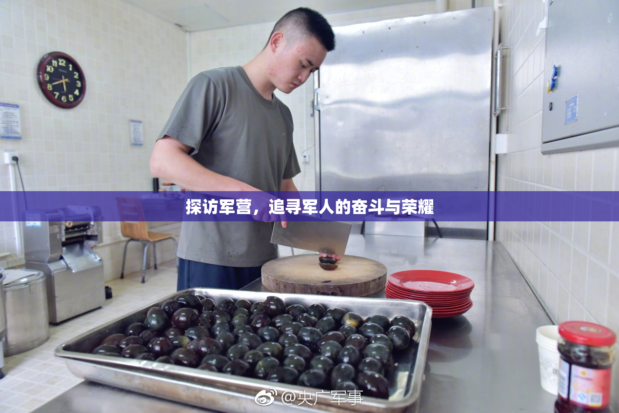探访军营，追寻军人的奋斗与荣耀