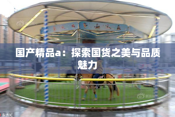 国产精品a：探索国货之美与品质魅力