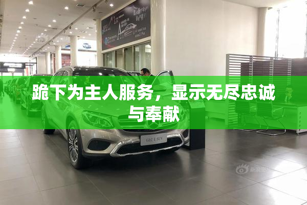 跪下为主人服务，显示无尽忠诚与奉献