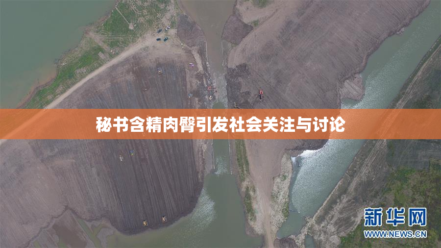秘书含精肉臀引发社会关注与讨论