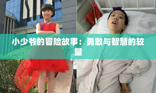 小少爷的冒险故事：勇敢与智慧的较量