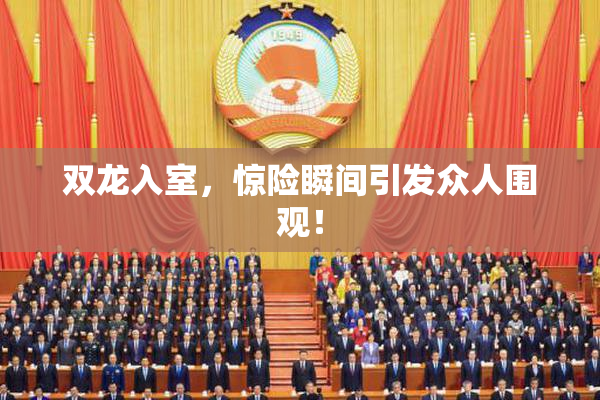双龙入室，惊险瞬间引发众人围观！