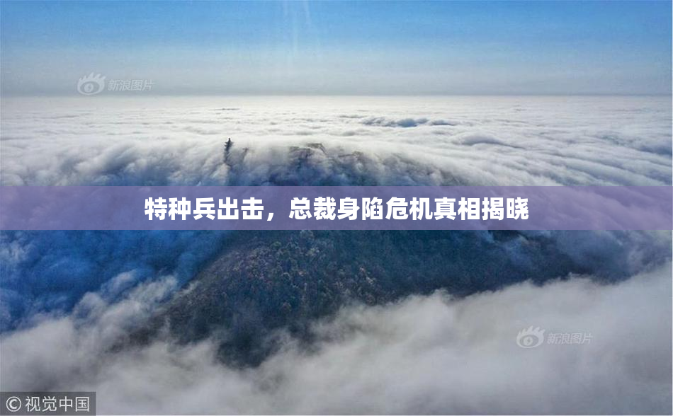 特种兵出击，总裁身陷危机真相揭晓