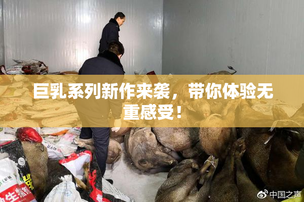 巨乳系列新作来袭，带你体验无重感受！
