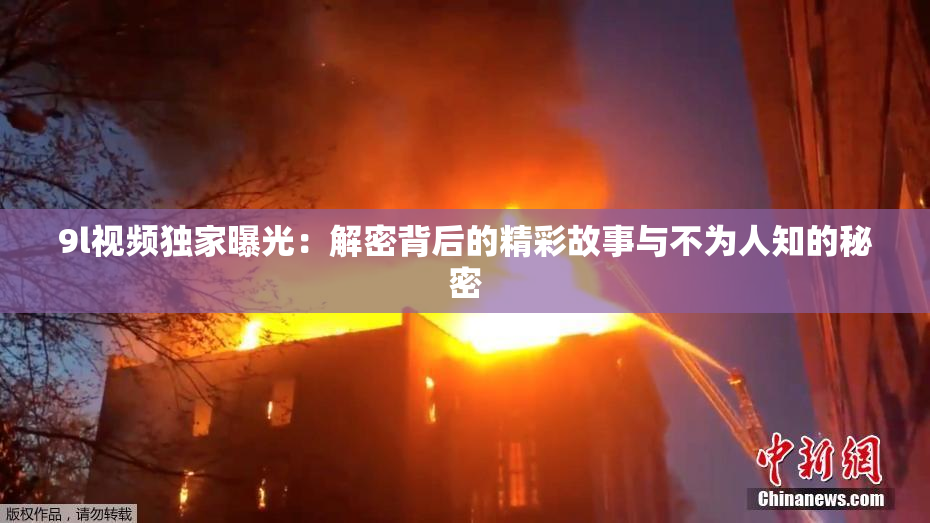 9l视频独家曝光：解密背后的精彩故事与不为人知的秘密
