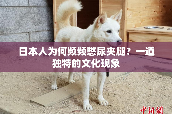 日本人为何频频憋尿夹腿？一道独特的文化现象