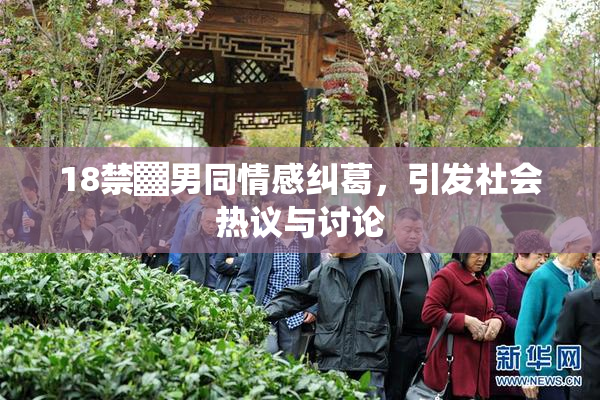 18禁▓男同情感纠葛，引发社会热议与讨论